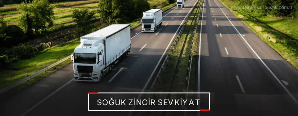 Afyonkarahisar Frigo Taşımacılık Firmaları