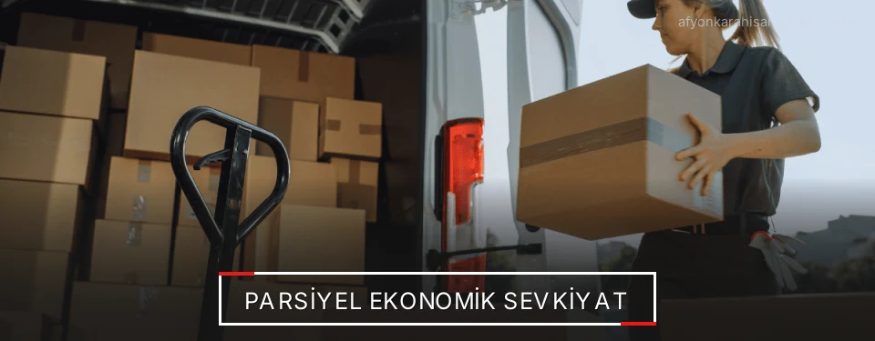 Afyonkarahisar Parsiyel Yük Lojistik Firmaları